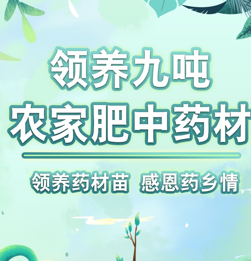 药材苗认领商城界面截图：小程序
